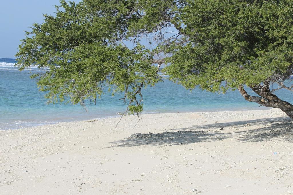 Melati Garden Guesthouse Gili Trawangan Dış mekan fotoğraf